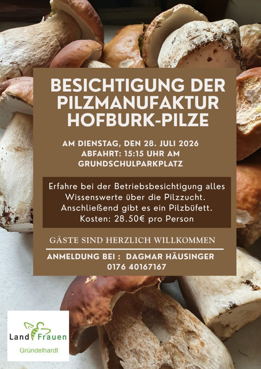 Hofburg Pilzmanufaktur