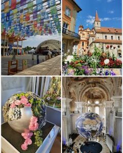 Collage_20260518_173804